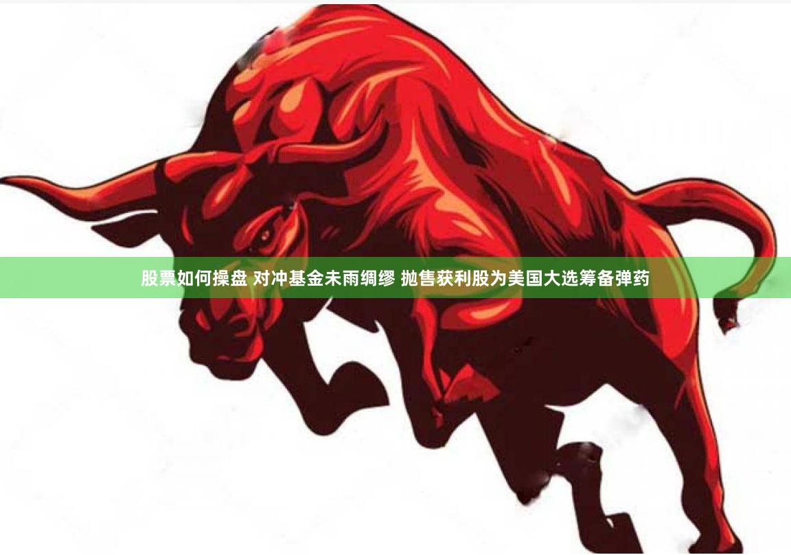 股票如何操盘 对冲基金未雨绸缪 抛售获利股为美国大选筹备弹药